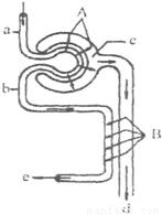 八戒降魔2万妖之王