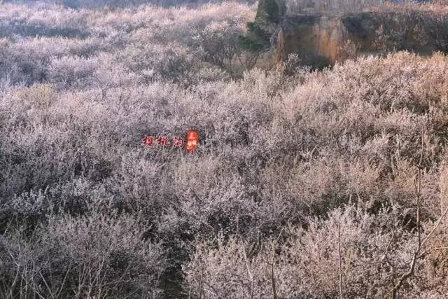 兴安岭猎人传说2