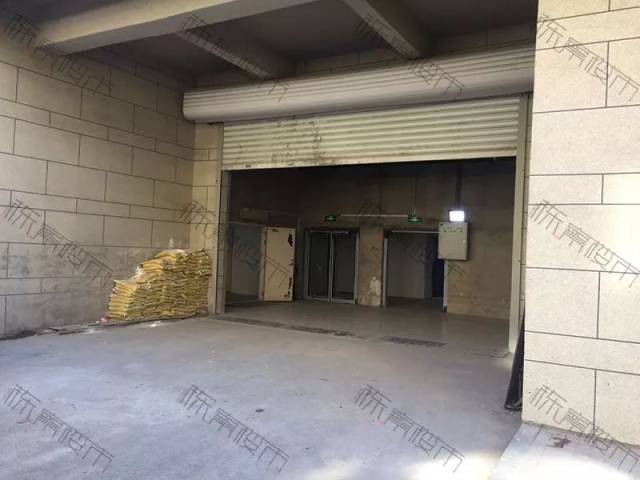 关于史蒂夫的一切