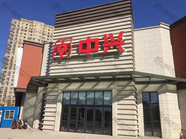 关于史蒂夫的一切