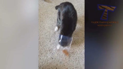 再见金钱,前往贫困村