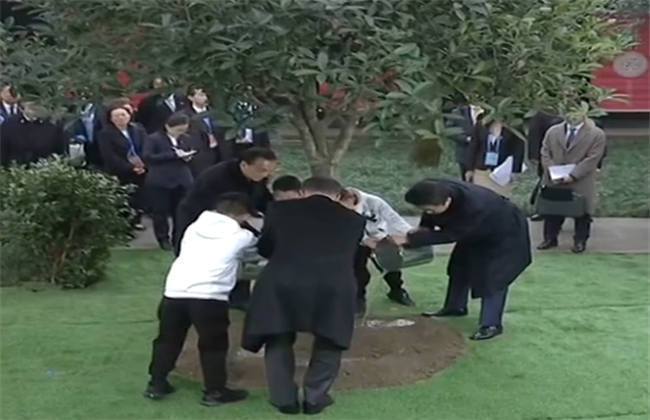 六月里来好阳光