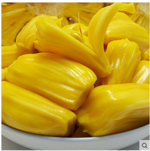 兰娅传奇（国语版）