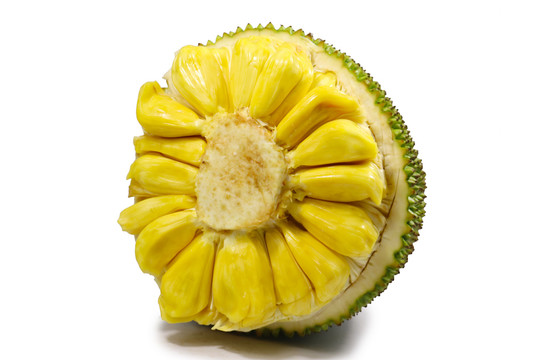 关于拉克拉女王的惊人真相