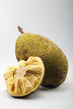 兵临城下之决战要塞