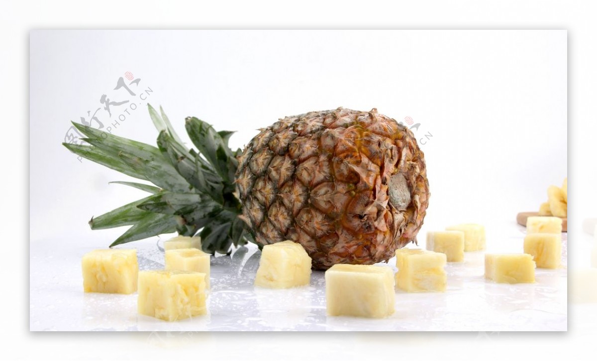 兵临城下之决战要塞