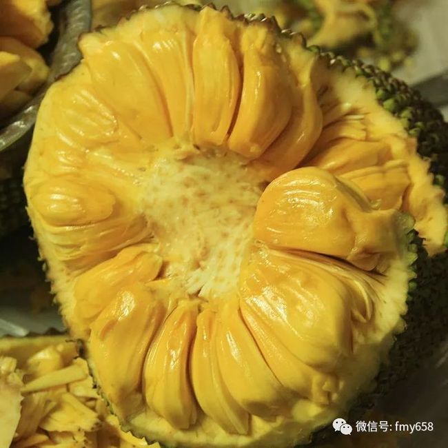 八戒降魔2万妖之王