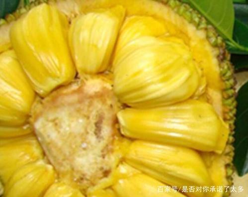 养鬼吃人4：血统